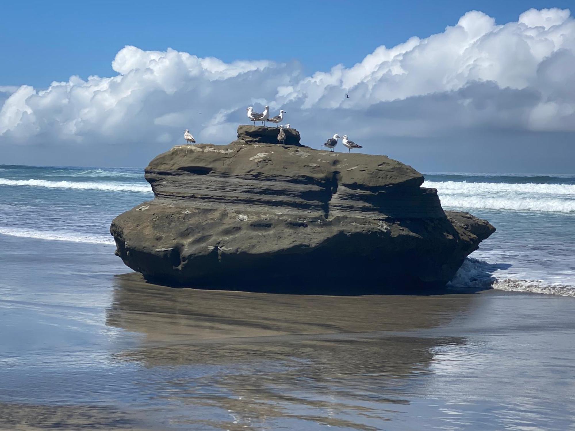 Dolphin Beach Get Away Rosarito Dış mekan fotoğraf